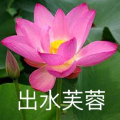 大圣传说游戏下载